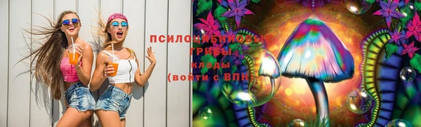 мяу мяу мука Алексин