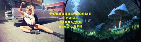 винт Абинск