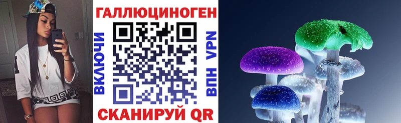 Галлюциногенные грибы Psilocybe  Сафоново 
